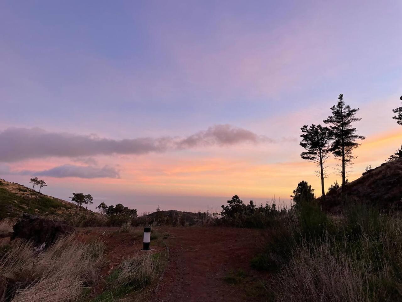 Mountain Eco Shelter 7 Hotel Funchal  Kültér fotó