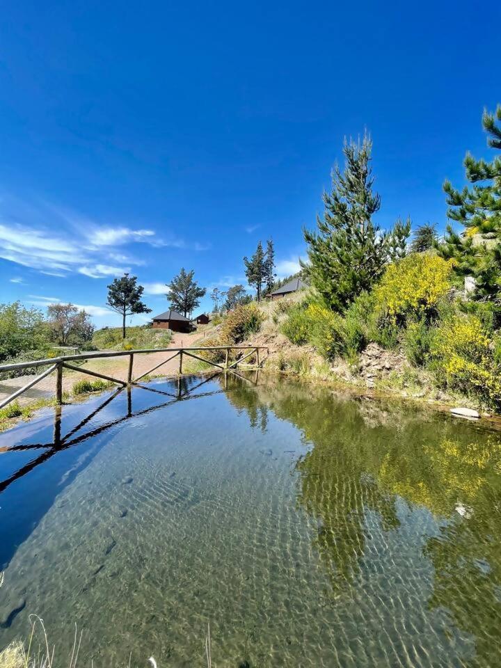 Mountain Eco Shelter 7 Hotel Funchal  Kültér fotó