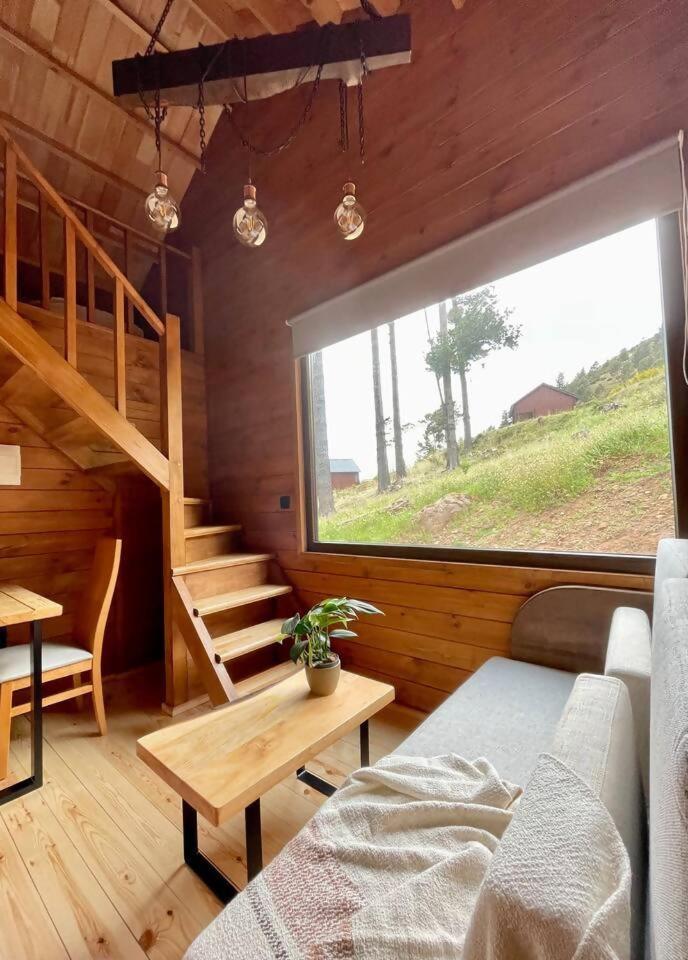 Mountain Eco Shelter 7 Hotel Funchal  Kültér fotó