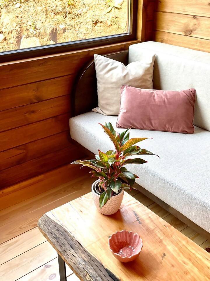 Mountain Eco Shelter 7 Hotel Funchal  Kültér fotó